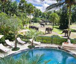 Mason Elephant Lodge