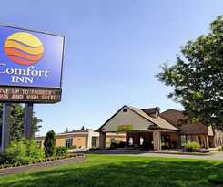 Hotel Comfort Inn London - Wellington Road