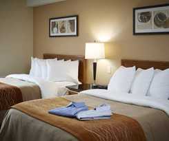 Comfort Inn Sydney